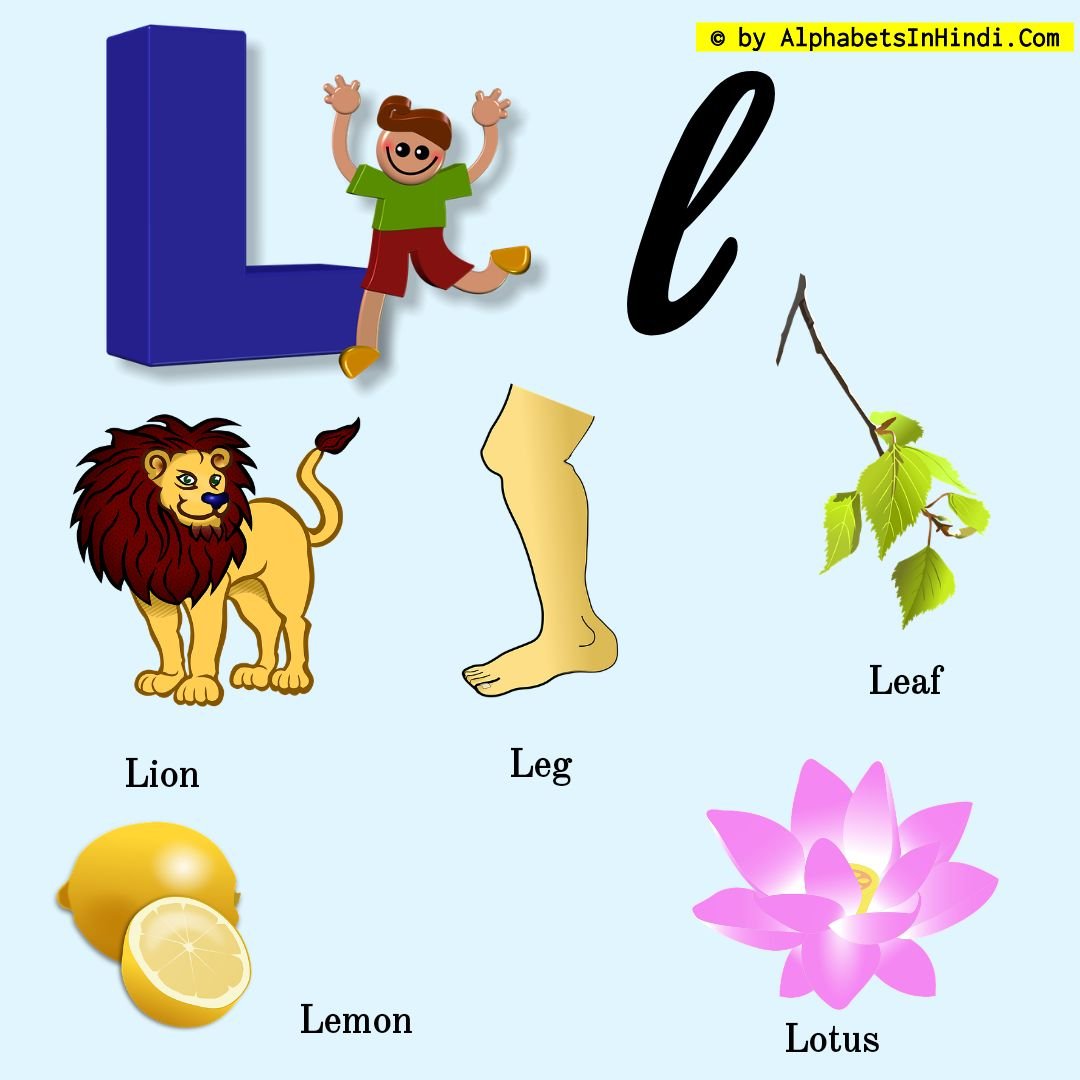 L For Lion Alphabet Phonic Sound And 5 Words Hd Image