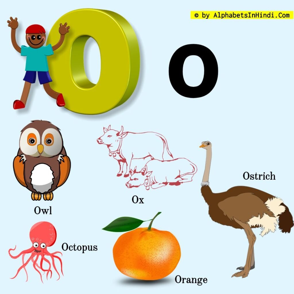 O For Owl Alphabet, Phonic Sound And 5 Words HD Image