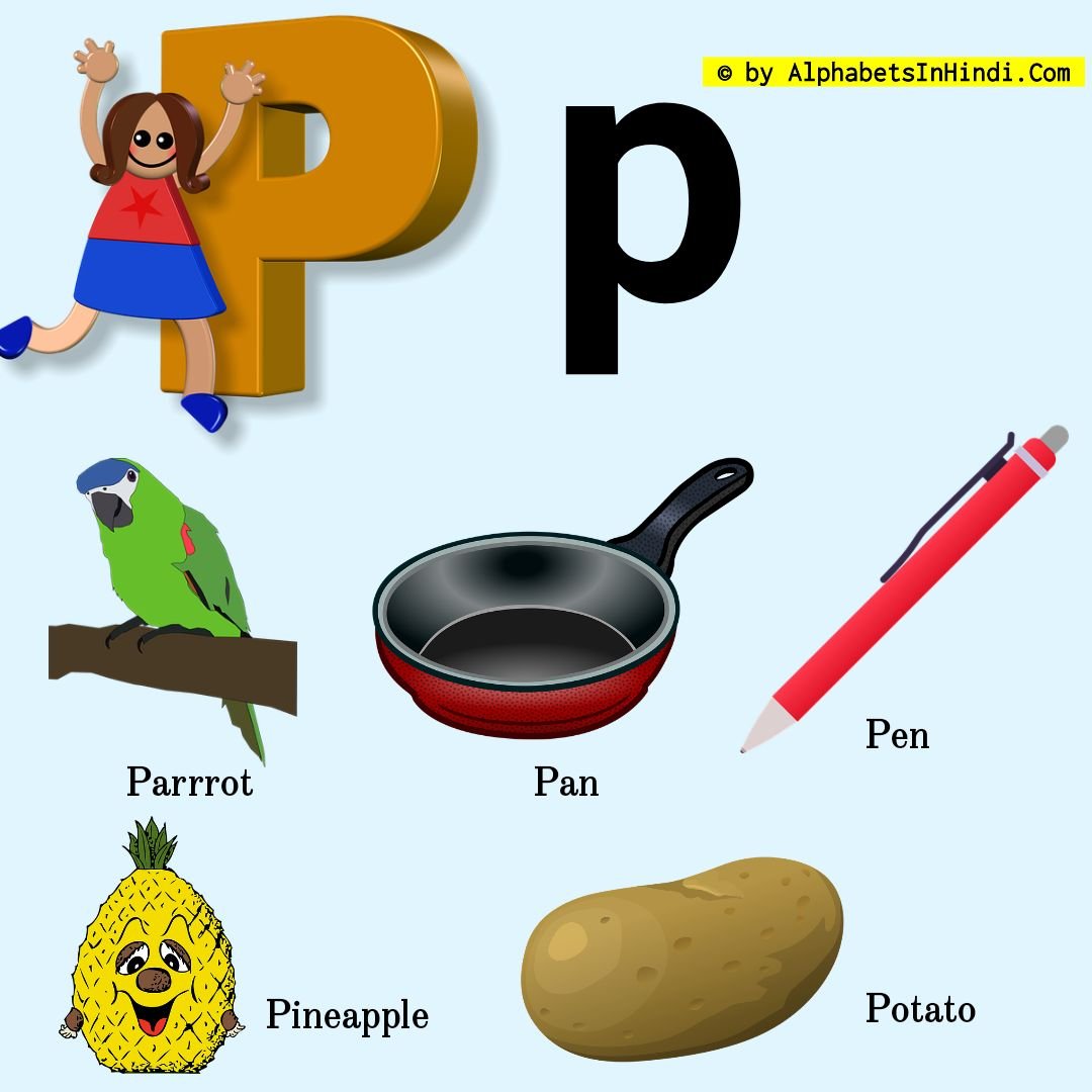 p for parrrot alphabet