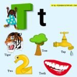 A For Apple To Z For Zebra - Get 26 Pictures Of 5 Words Examples