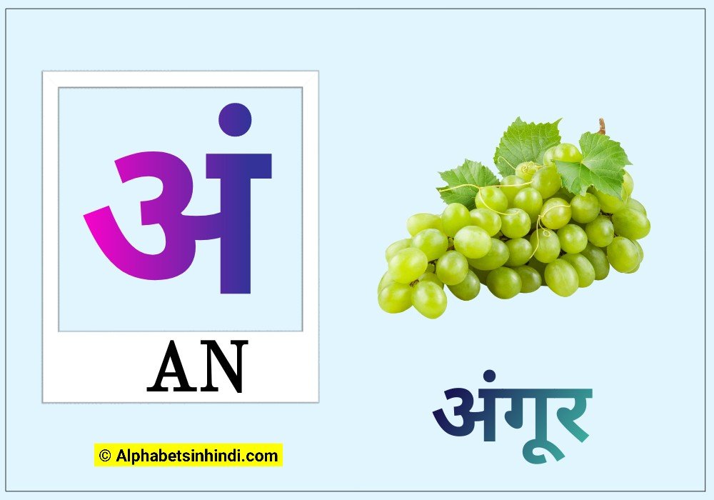 अं से अंगूर