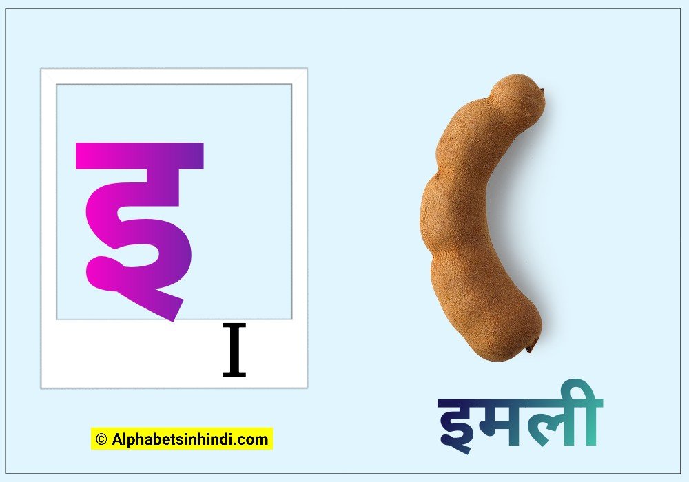 इ से इमली