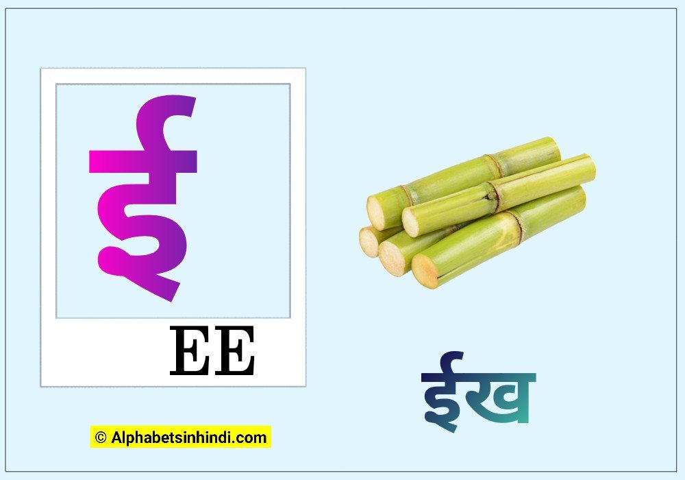 ई से ईख