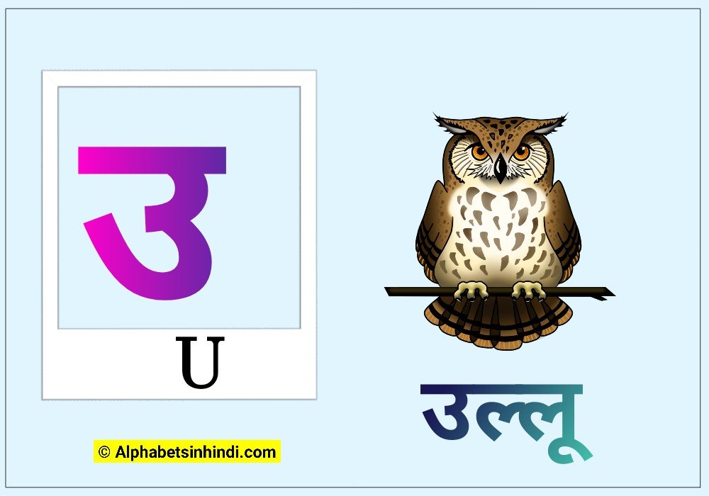 उ से उल्लू