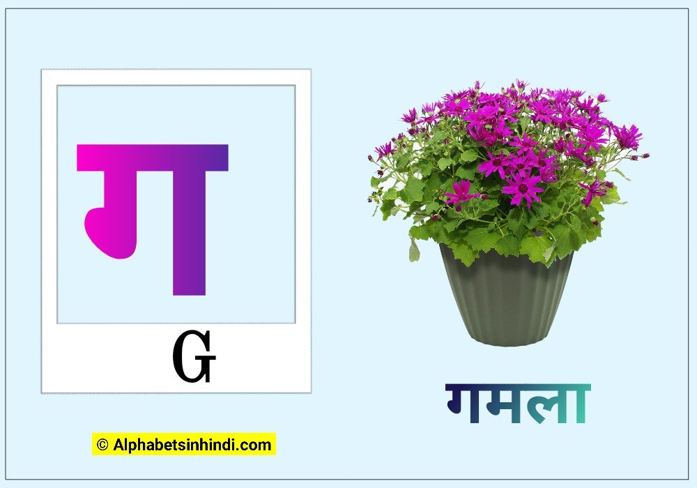 ग से गमला