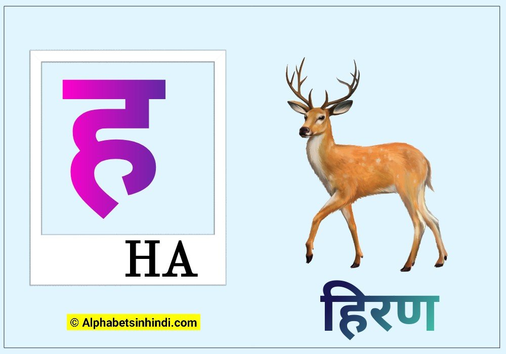 ङ से हिरण