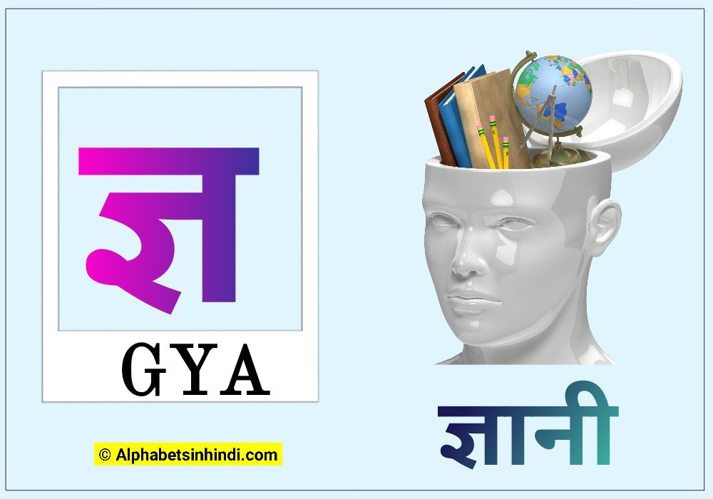 ज्ञ से ज्ञानी