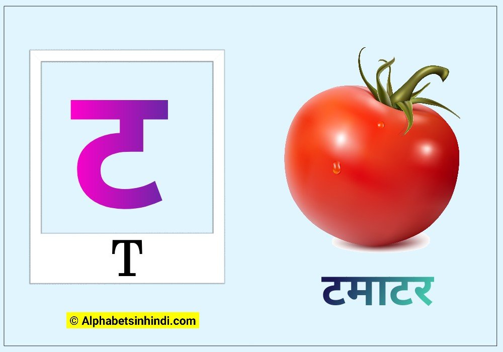 ट से टमाटर