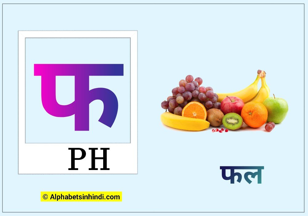 फ से फल