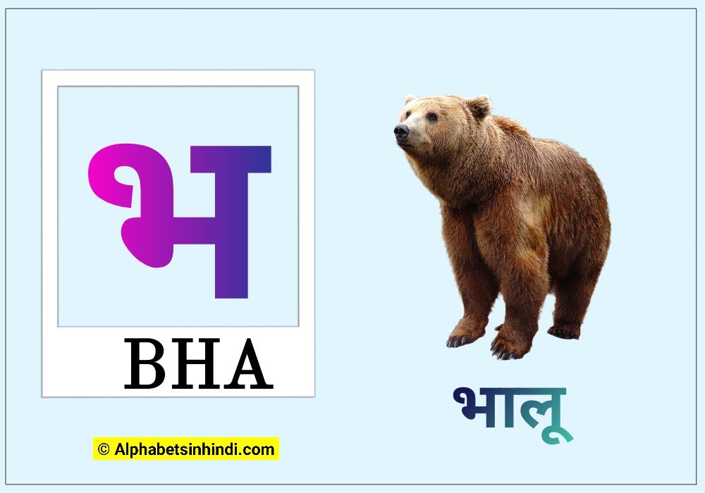 भ से भालू